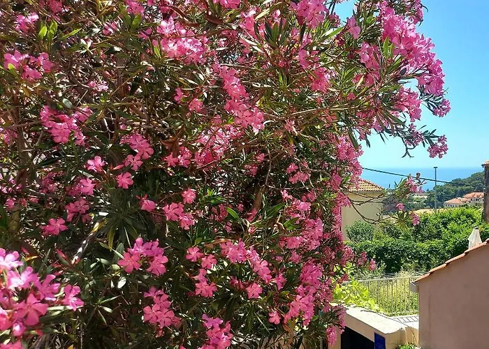 Heritage 두브로브니크