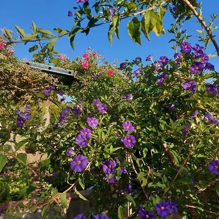 Heritage Appartement Dubrovnik