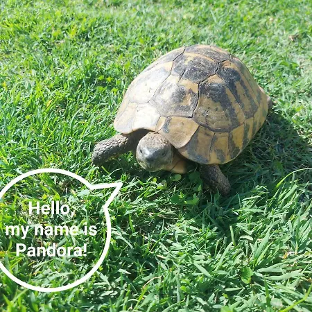 Heritage * Ντουμπρόβνικ