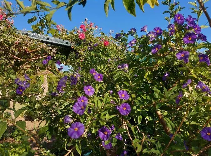 Heritage Appartement Dubrovnik